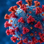Qué es el virus Shamonda, detectado por primera vez en un humano, y qué se sabe de su transmisión