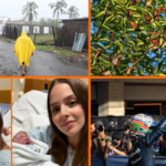 Noticias del fin de semana: Taddei renuncia al INE, Mariana Rodríguez y Samuel García le dan la bienvenida a su tercera hija y clima en México
