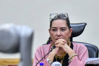 Renuncia de Guadalupe Taddei al INE: así elegirán a quien tome su lugar