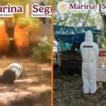 Desmantelan narcolaboratorio de metanfetamina de ‘Los Chapitos’ en Sinaloa
